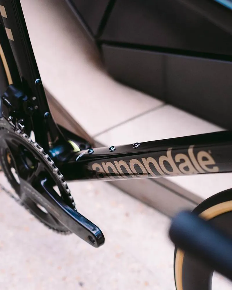 The best of our new arrivals