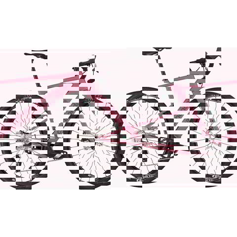 Cannondale stockists shop